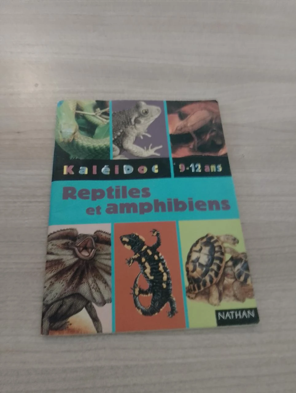 Kaléidoc : reptiles et amphibiens